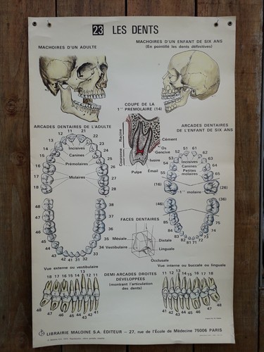 Ancienne affiche medecine le - affiche,