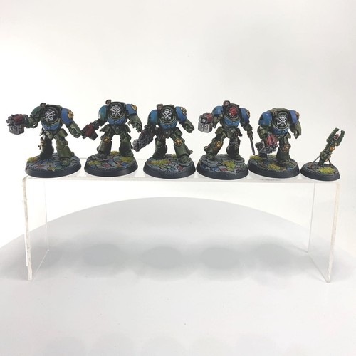 Terminators plastique - x5,