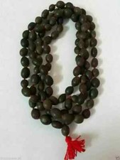 Graines lotus perles - de,