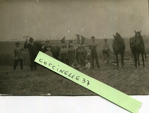 Carte photo identifier - photo,