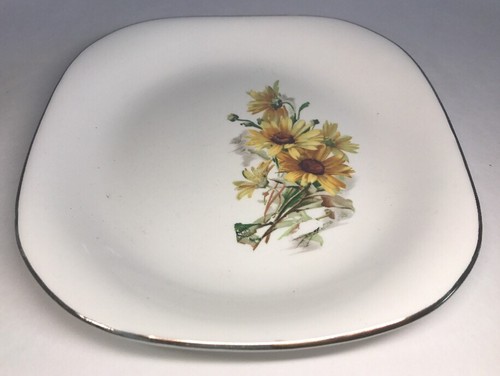 Lot1 grandes assiettes - grandes,