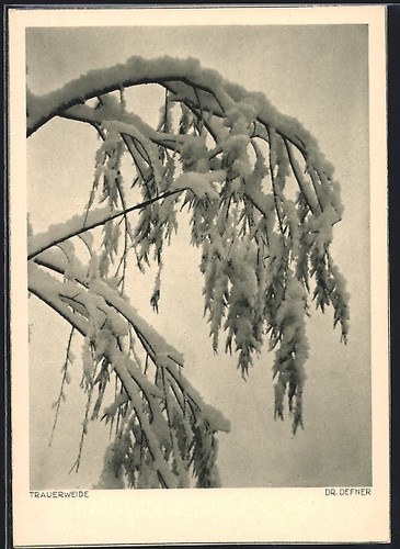 Carte postale photo - , adalbert