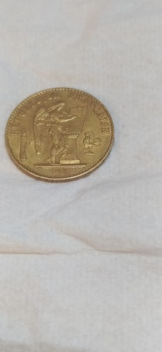 Francs 1876 génie - 20, or