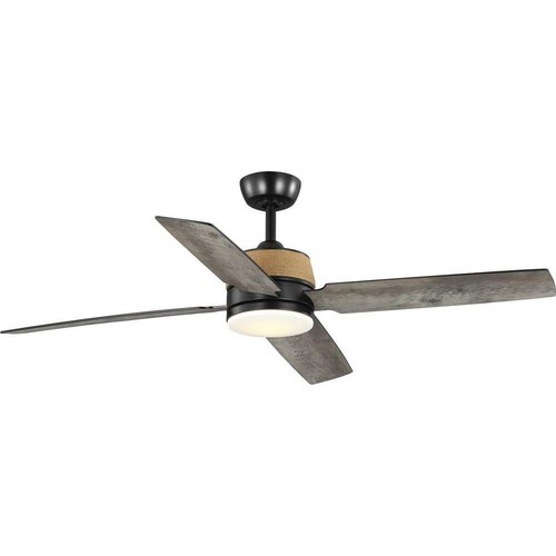 Blade ceiling fan with - 4,