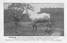 CPA 22 BRETAGNE HIPPIQUE HERCULE TRAIT BRETON A Mme LE COAT A KERAMAIS