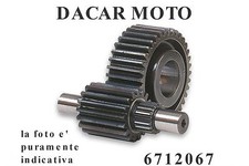 Engrenages Secondaire MALOSSI