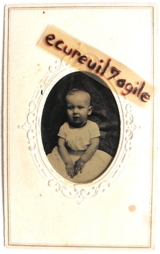 Ferrotype photo alden - ferrotype,
