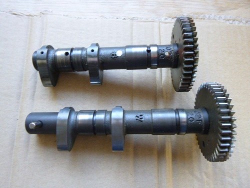 Arbre came suzuki - suzuki, tlr