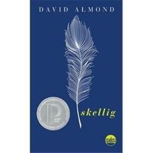 Skellig livre état bon - skellig,