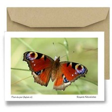 Carte postale papier aquarelle