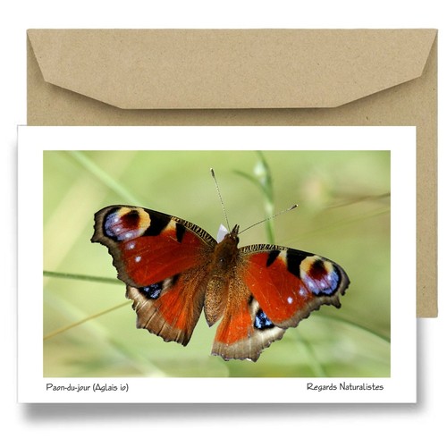 Carte postale papier - , aquarelle