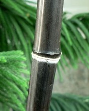 Black Bamboo Plant -