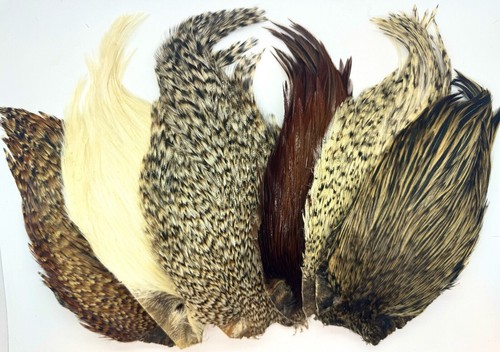 Plumes cou coq montage - de,