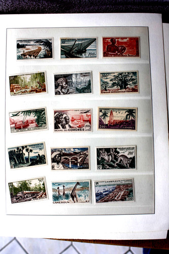 Type divers colonies - type, divers,