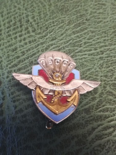Insigne bccp - 7,
