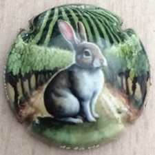 capsule de mousseux DE LA VIE
