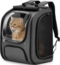 Sac À Dos Chat, Grand