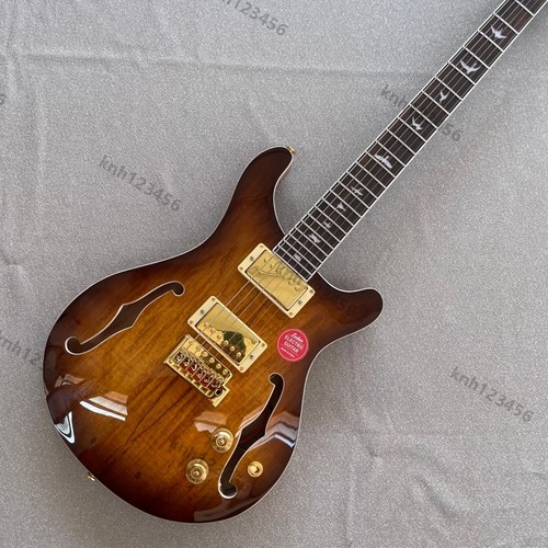 Semi hollow body electric - se, semi-hollow