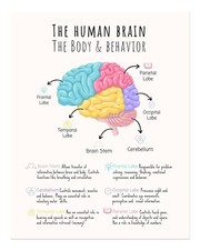 Affiche éducative sur