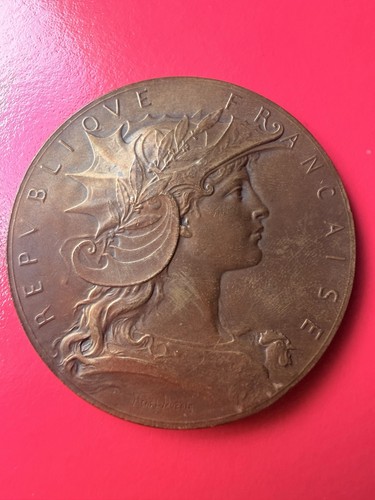 Médaille bronze henri - en,