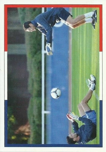 Autocollant panini carrefour - autocollant,