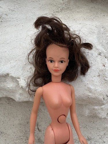 Poupée tressy bella brune - poupée,