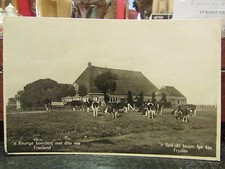 cpa nederland holland pays bas keurige boerderij met dito vee friesland troupeau