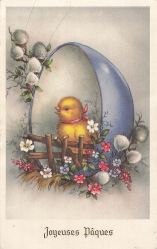 Illustree paques poussin - cp,