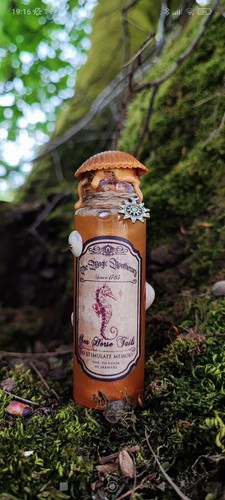 Potion magique coquillage - potion,