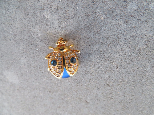 Ancienne broche insecte - ancienne,