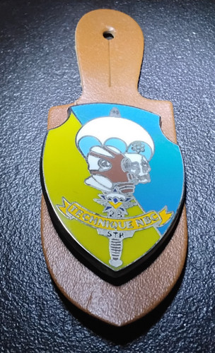 Insigne pucelle 1er régiment - 1er,