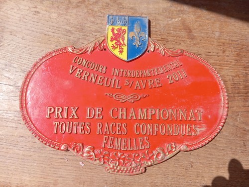Grande plaque concours - grande,