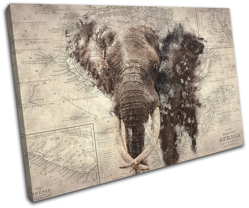 Africa elephant map retro - africa,