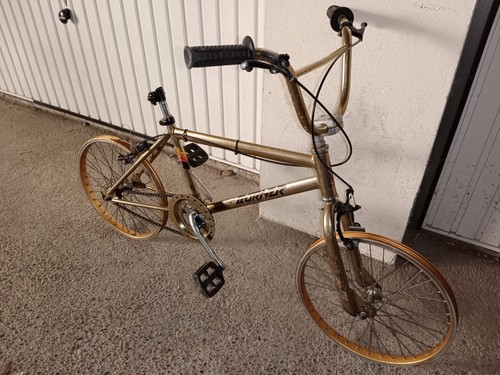 Raleigh super burner gold - raleigh,
