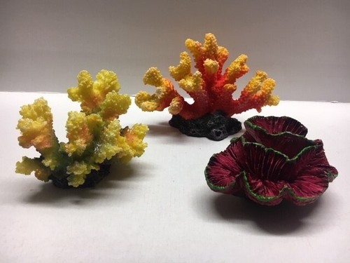 Corail aquarium reef - d'aquarium,