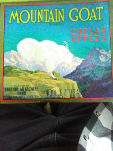 Vintage mountain goat brand - vintage,mountain,