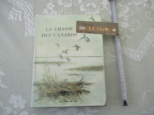 Rocher chasse des canards - des,