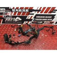 Faisceau électrique principale Honda CBR 1000 2008 à 2011 SC59