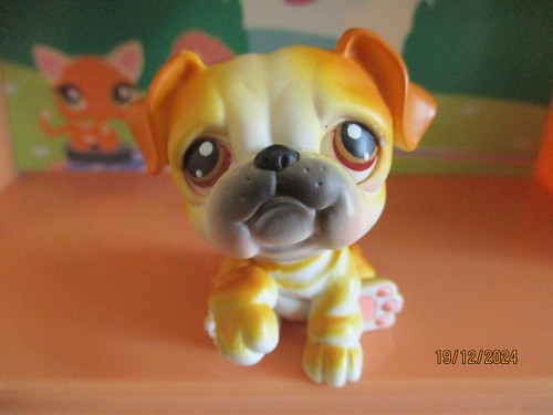 Petshop chien bouledogue - #46, /