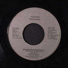 Galaxy : Mandingo Warrior /