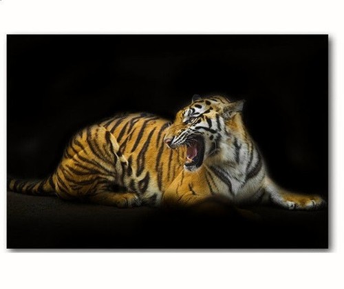Cadre toile tableau tigre - toile,