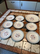 LOT  8 ASSIETTES A DESSERT+ PLAT A TARTE  DIGOIN SARREGUEMINES MODELE  ALPESTRE