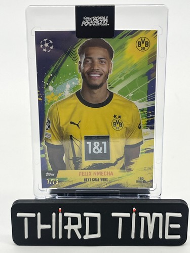Fleix nmecha borussia - nmecha,