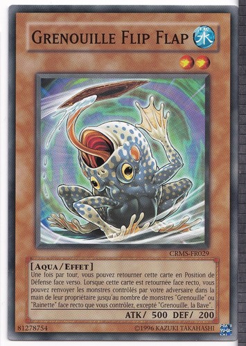 Grenouille flip flap - flip,
