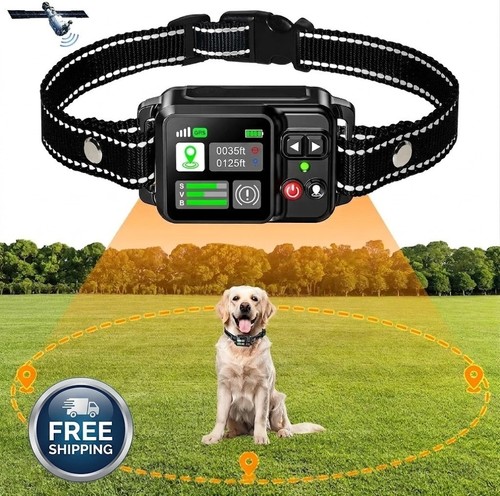 Clôture chien gps sans - sans, fil