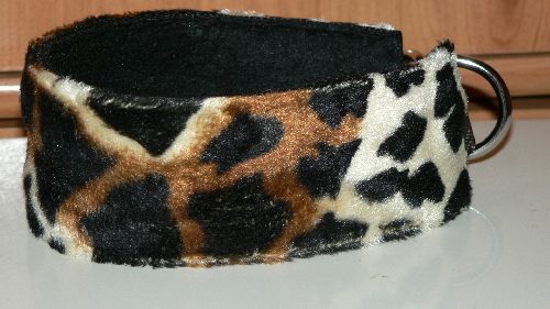 Collier pour chien lévrier - chien,,