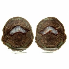 Lithophyse. 3960.0 ct. Massif