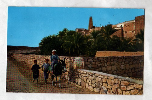 Zab children ane - m'zab,