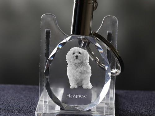 Bichon havanais porte clés - bichon, havanais,