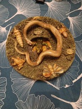 Assiettes Mural Majolique